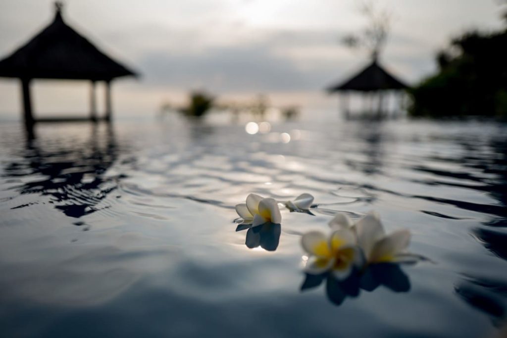 Piscine à débordement avec des pétales de fleurs